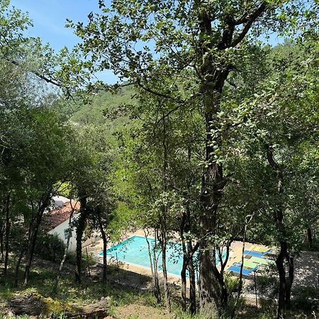 Maison avec piscine chauffée entre mer et montagne Montauriol  Exterior foto