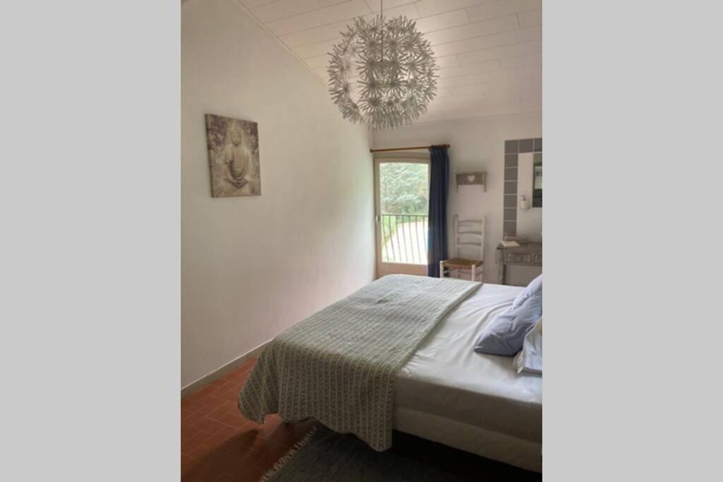 Maison avec piscine chauffée entre mer et montagne Montauriol  Exterior foto